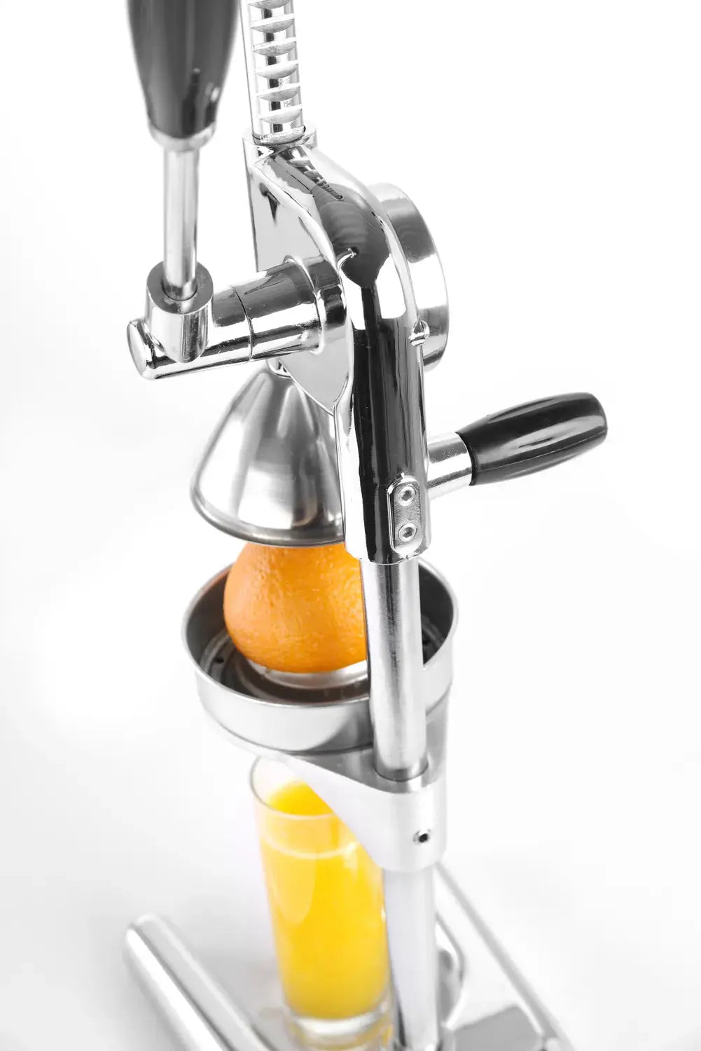 Zitruspresse Gastronics - CPGASTRO