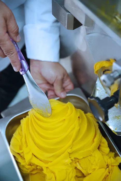 Eiscremespatel Gastronics - CPGASTRO