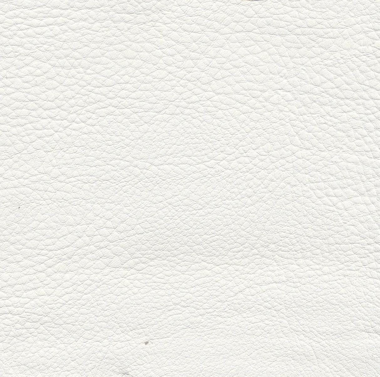 Polsterstuhl Boston Gastronics - CPGASTRO