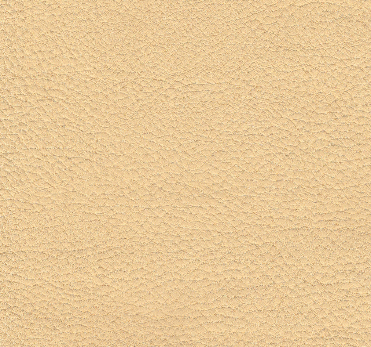 Polsterstuhl Boston Gastronics - CPGASTRO