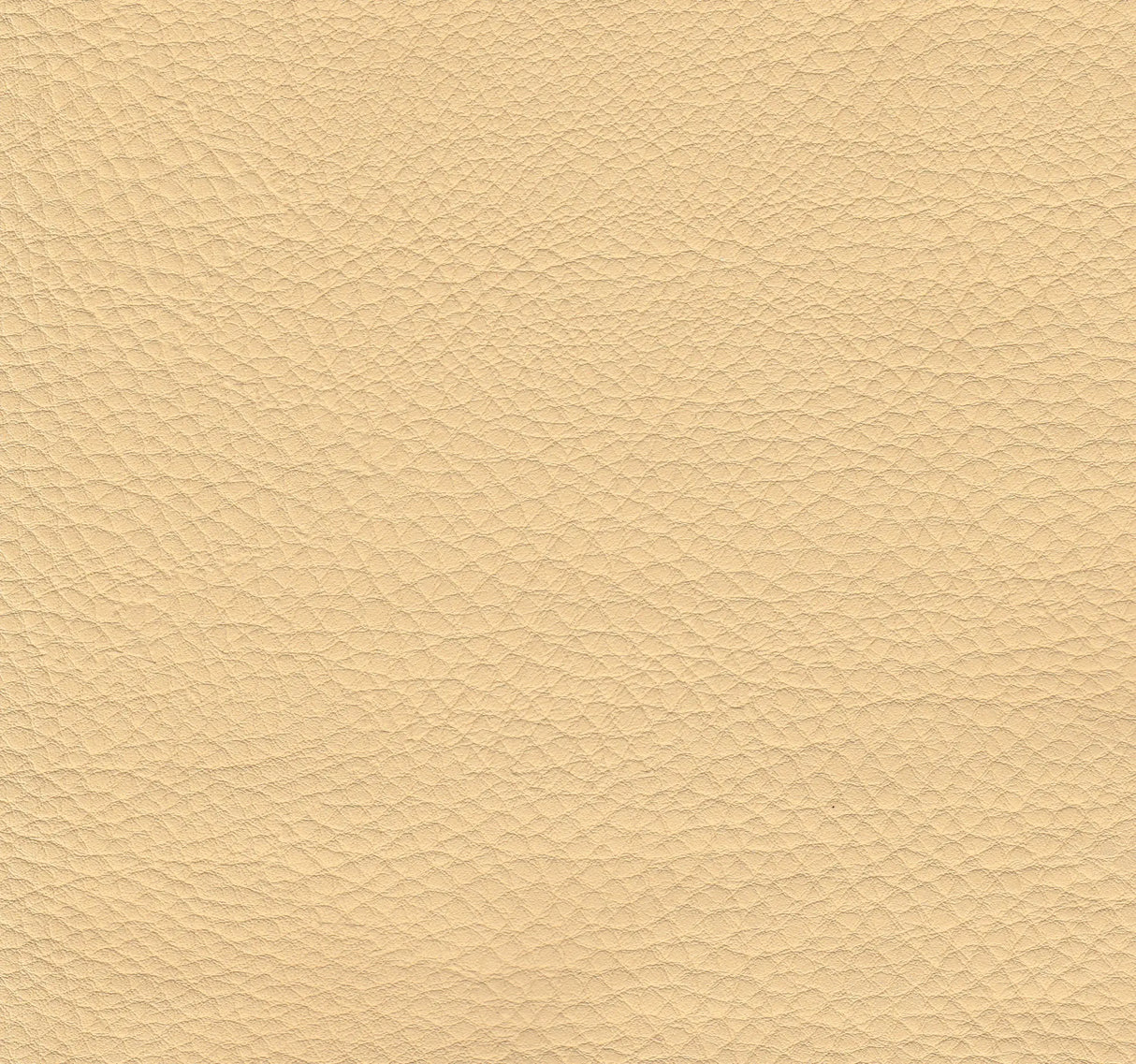 Polsterstuhl Boston Gastronics - CPGASTRO