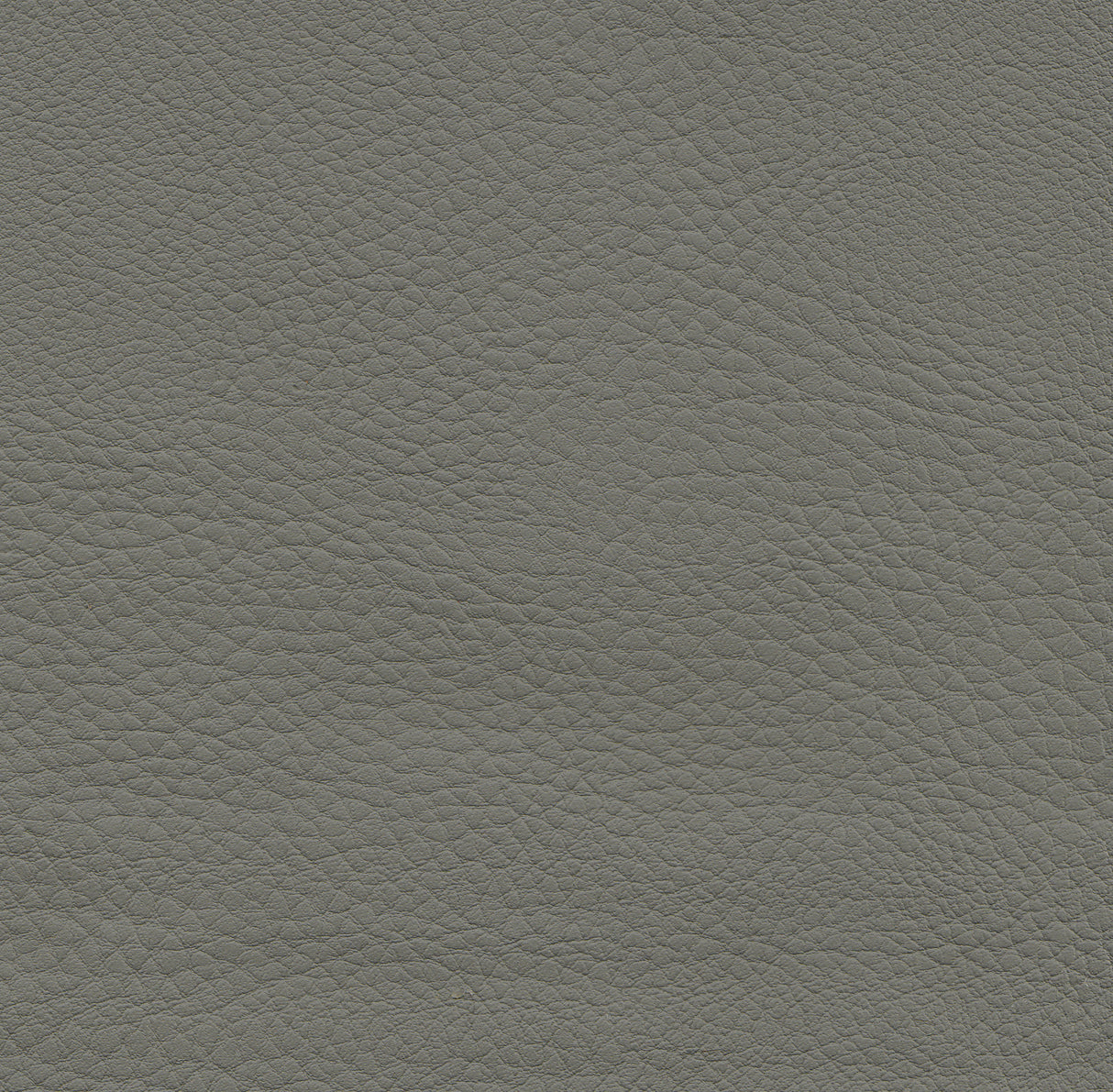 Polsterstuhl Boston Gastronics - CPGASTRO