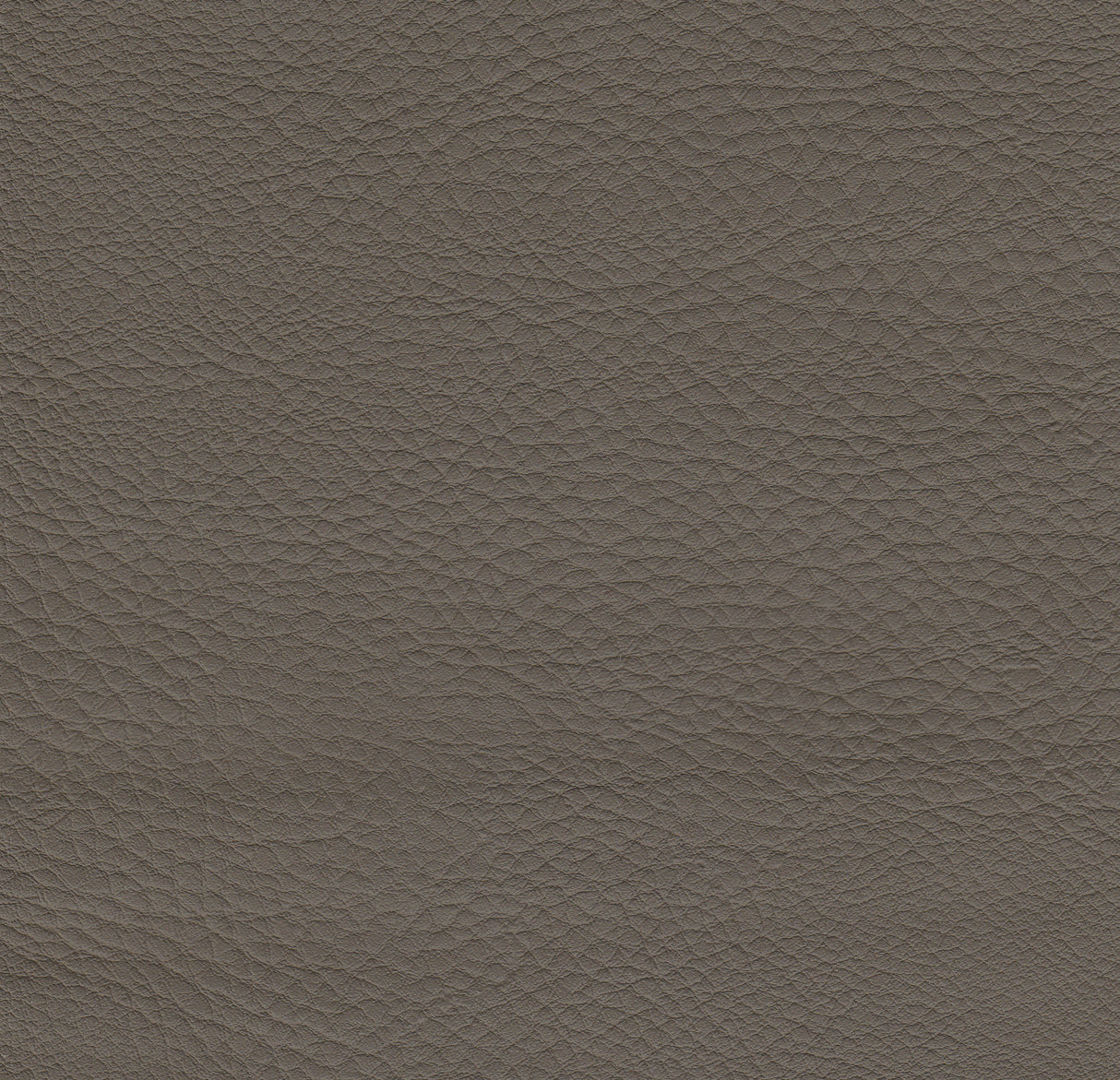 Polsterstuhl Boston Gastronics - CPGASTRO