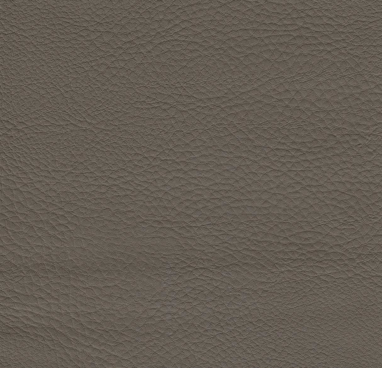 Polsterstuhl Boston Gastronics - CPGASTRO