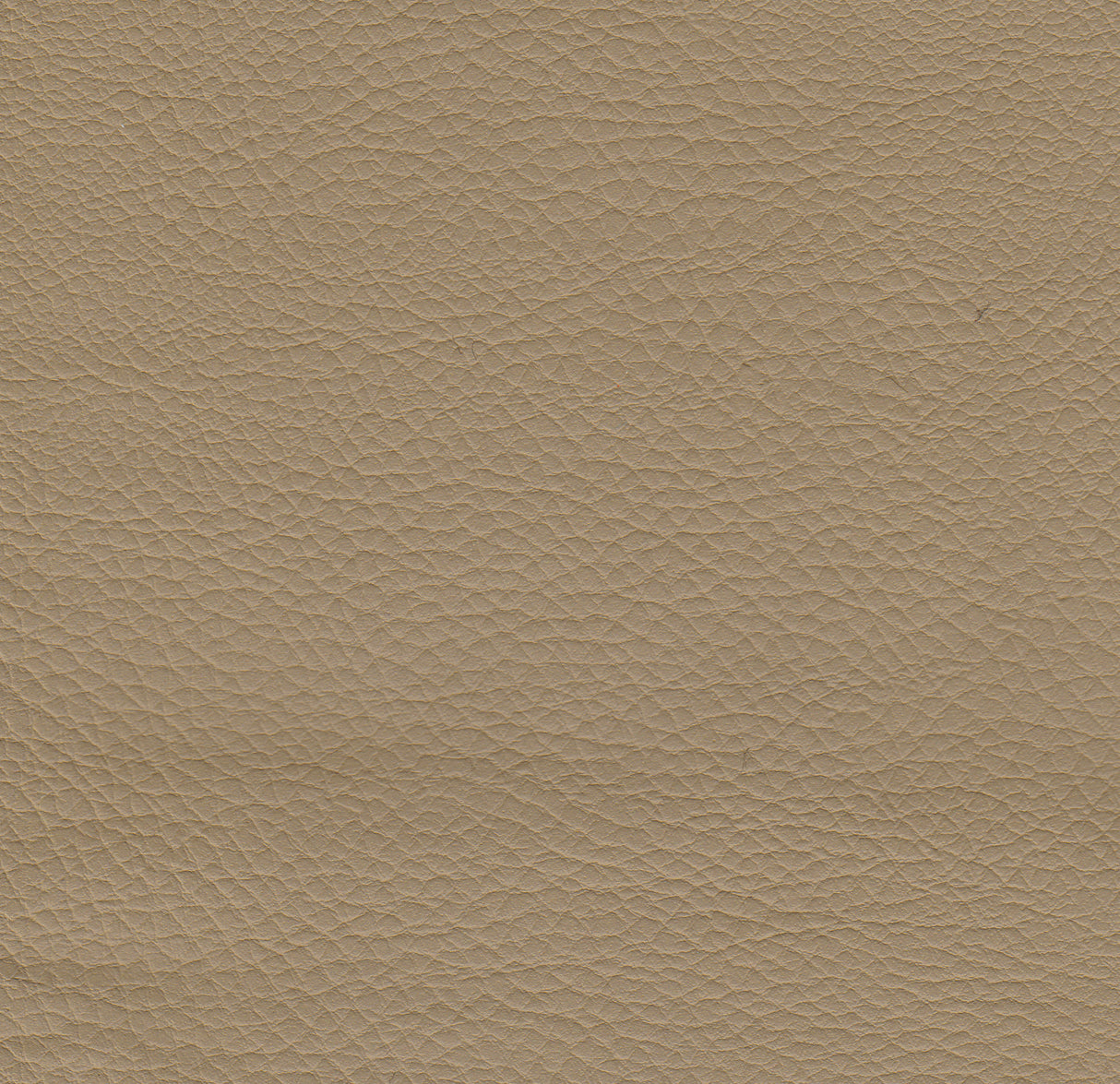 Polsterstuhl Boston Gastronics - CPGASTRO