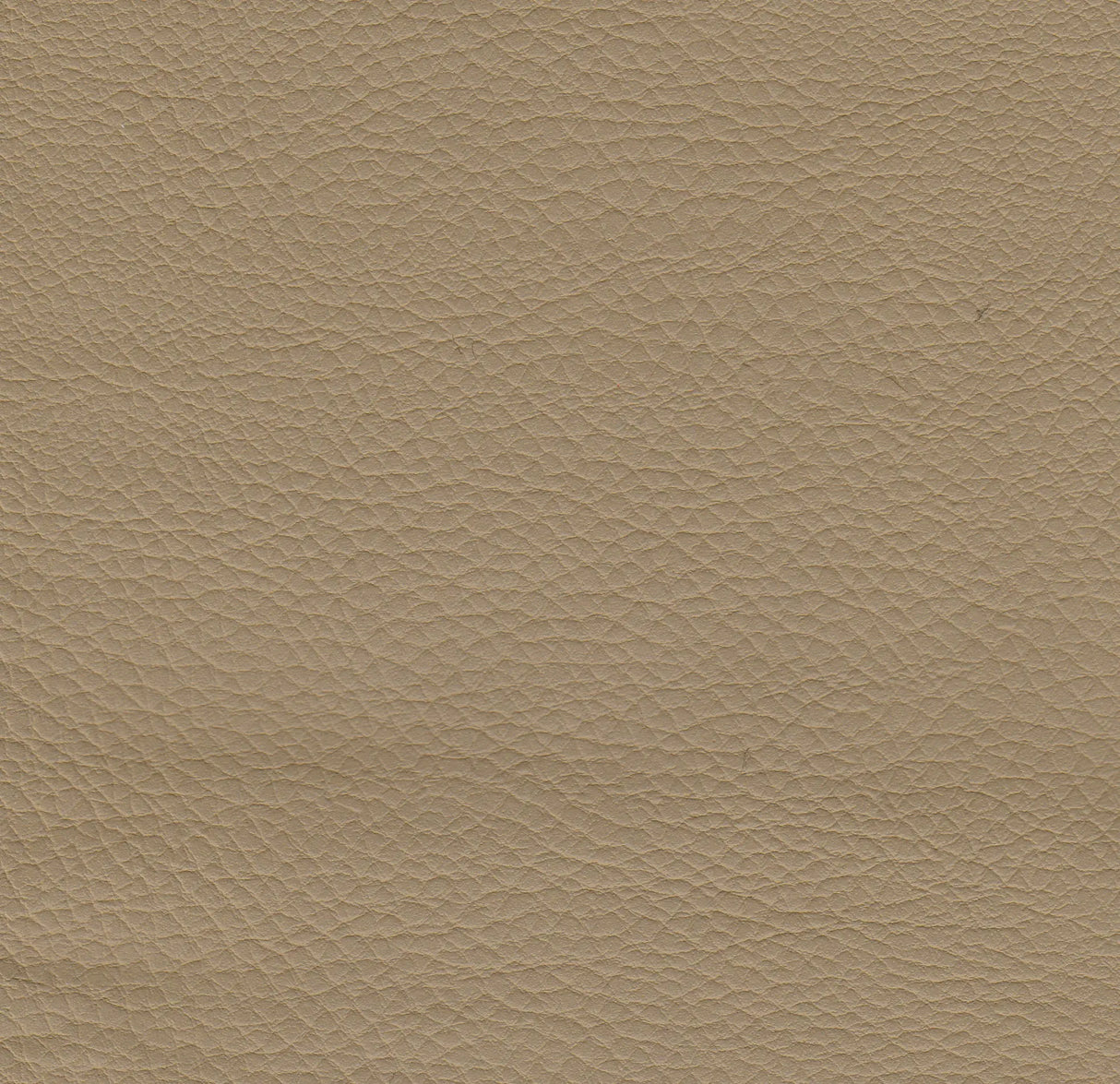 Polsterstuhl Boston Gastronics - CPGASTRO