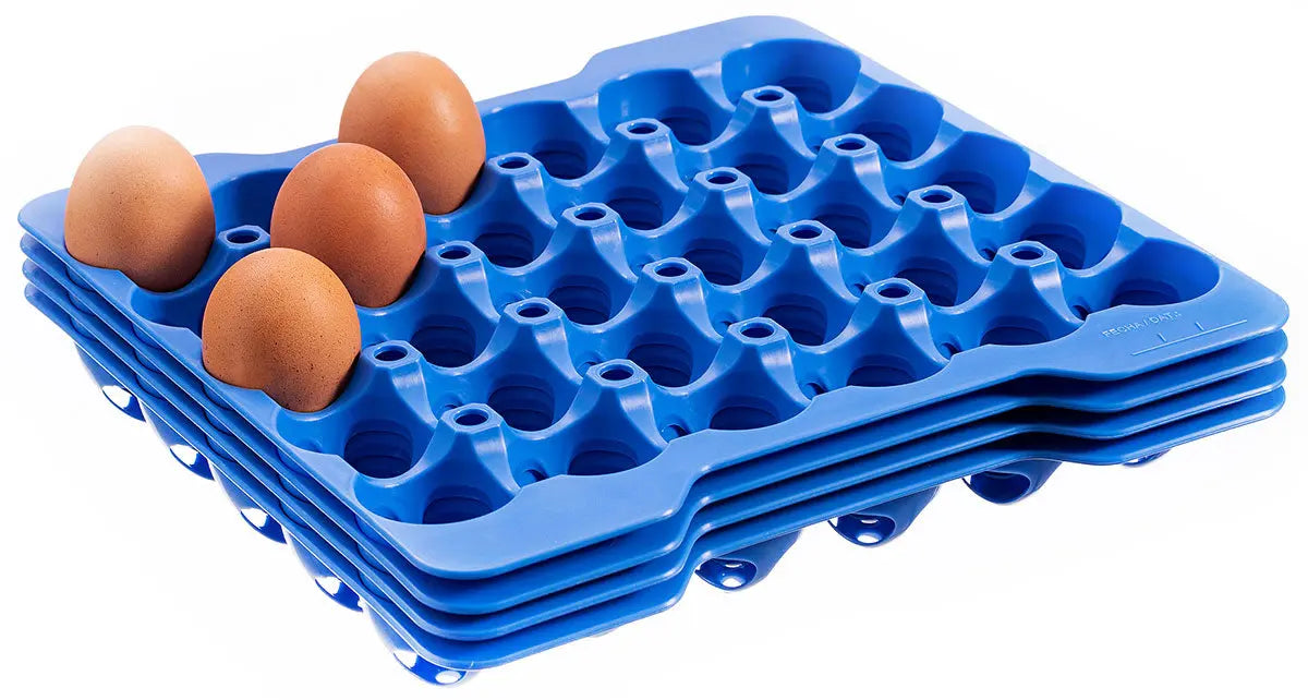 Eierbox 2/3 lebensmittelecht mit 8 Trägern a 30 Eier - CPGASTRO