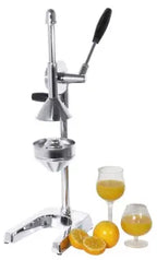 Edelstahl Orangensaftpresse - CPGASTRO