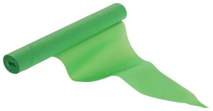 Einweg-Spritzbeutel 50 x 28 cm grün 80 µm Rolle a 100 St. - CPGASTRO
