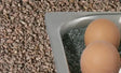 Granitsplitt 7 kg rot - CPGASTRO