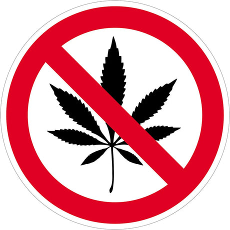 Contacto Hinweis- /Verbotsschilder Cannabisverbot / 20 cm